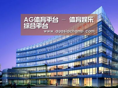 案例展示五