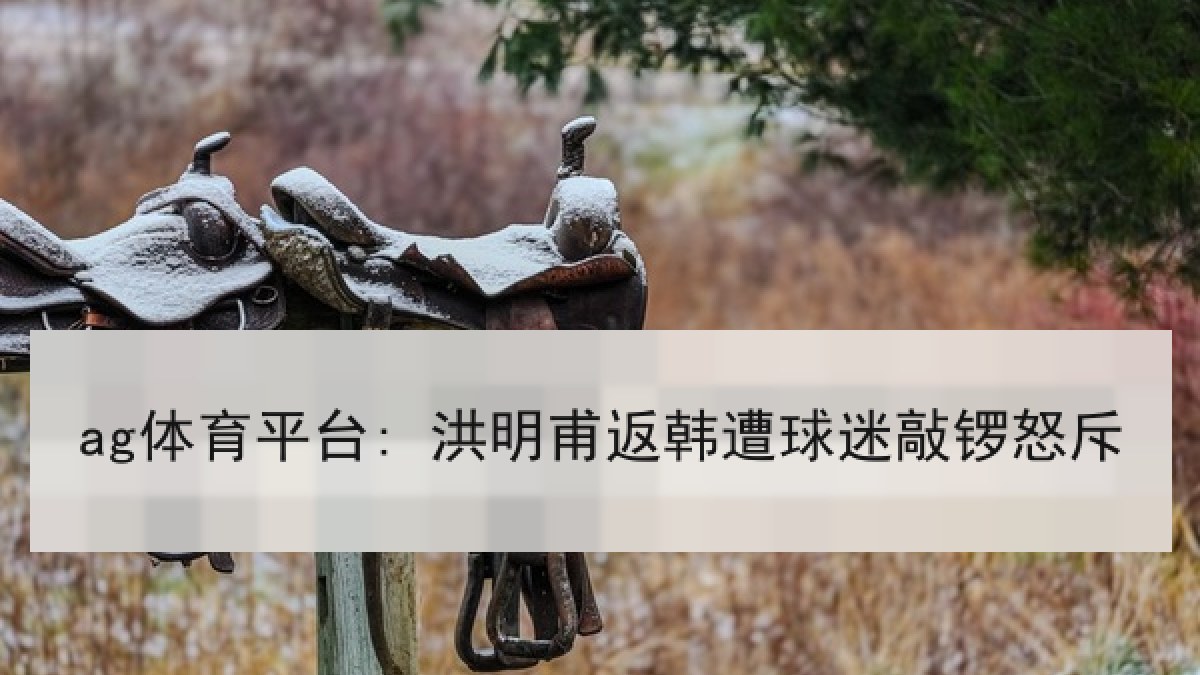 ag体育平台: 洪明甫返韩遭球迷敲锣怒斥